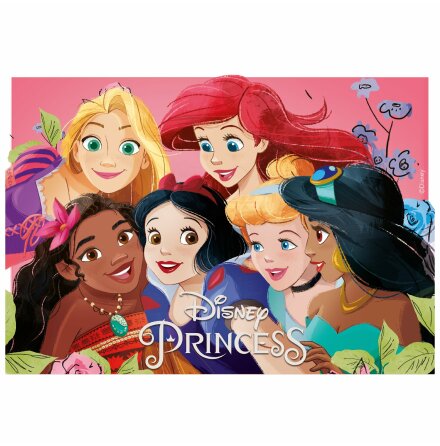 Disney Prinsessor, Trtbild